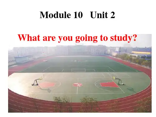 六年级英语下册课件-Module 10 Unit 2 What are you going to