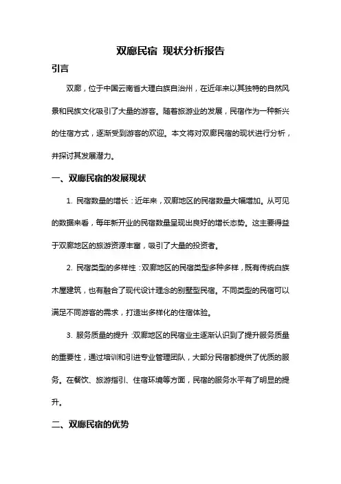 双廊民宿 现状分析报告