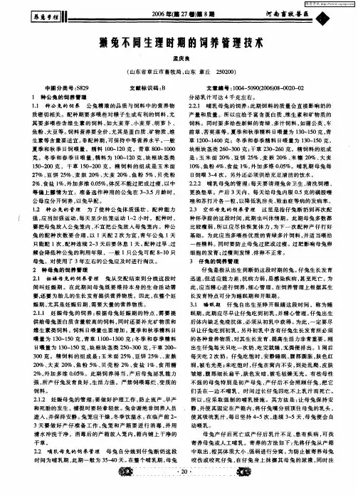 獭兔不同生理时期的饲养管理技术