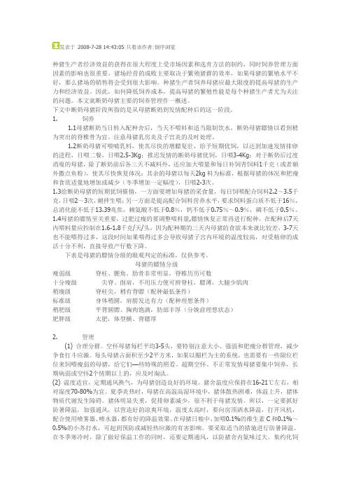 断奶母猪的饲养管理