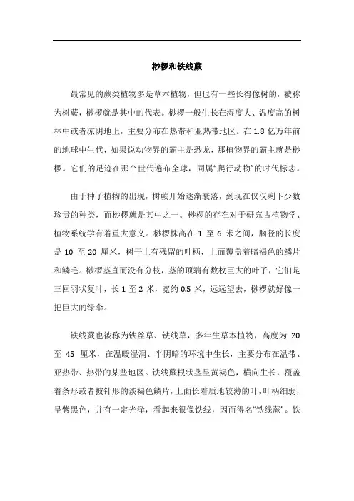 桫椤和铁线蕨