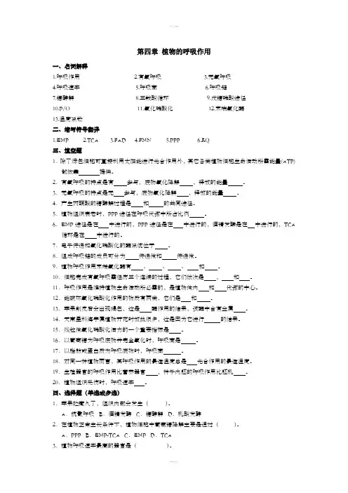 植物生理学第四章