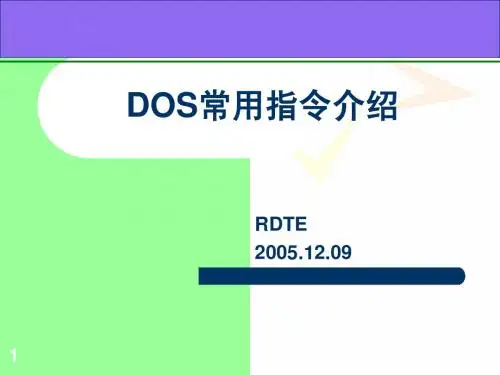DOS  的基本操作