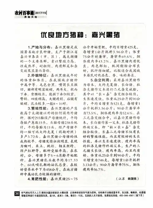 优良地方猪种：嘉兴黑猪