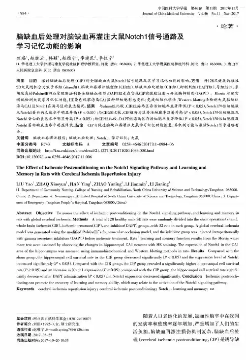 脑缺血后处理对脑缺血再灌注大鼠Notch1信号通路及学习记忆功能的影响