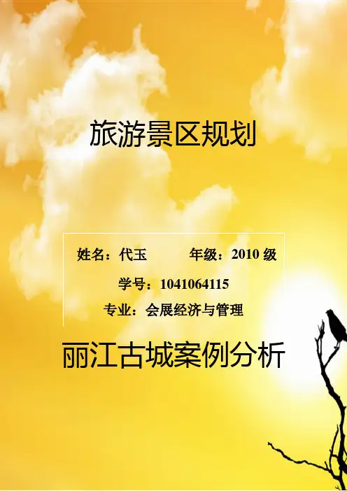 丽江古城案例分析