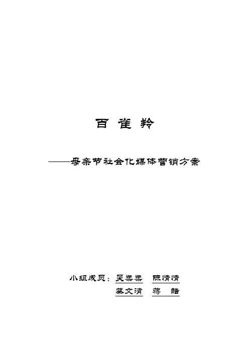《社会化媒体营销方案》