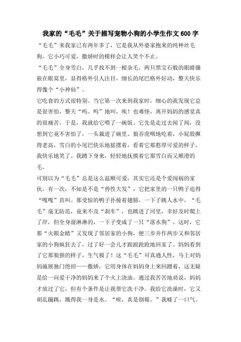 我家的“毛毛”关于描写宠物小狗的小学生作文600字