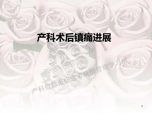 产科术后镇痛