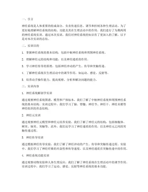 神经系统的实训报告总结