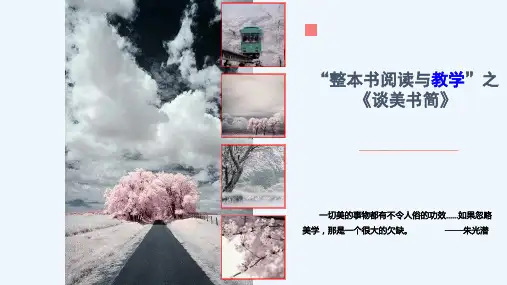 高中语文整本书阅读教学案例《谈美书简》公开课PPT课件
