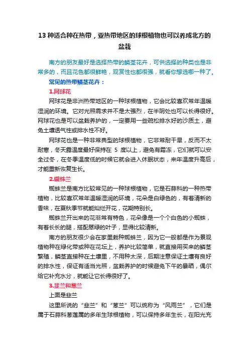 13种适合种在热带，亚热带地区的球根植物也可以养成北方的盆栽