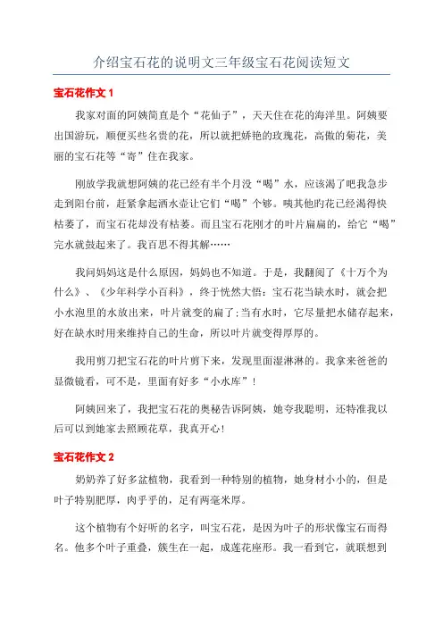介绍宝石花的说明文三年级宝石花阅读短文