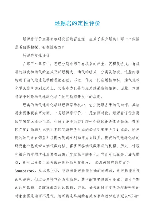 烃源岩的定性评价