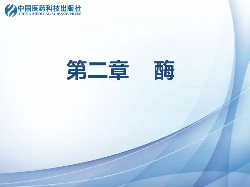 酶的活性中心与必需基团