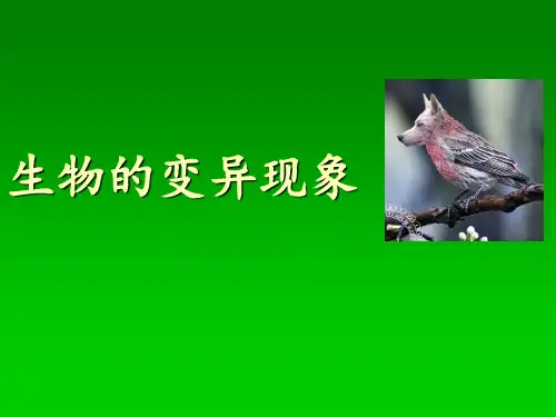小学科学苏教版六年级下册——生物的变异现象PPT课件