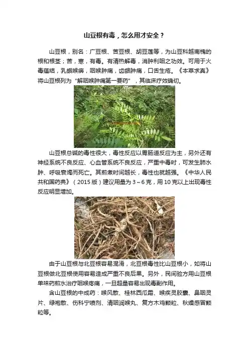 山豆根有毒，怎么用才安全？