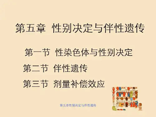 第五章性别决定与伴性遗传
