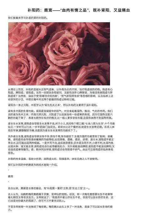 补阳药：鹿茸——“血肉有情之品”，既补肾阳，又益精血