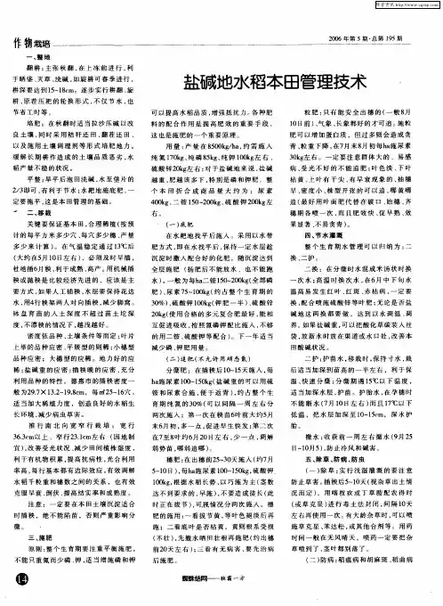 盐碱地水稻本田管理技术