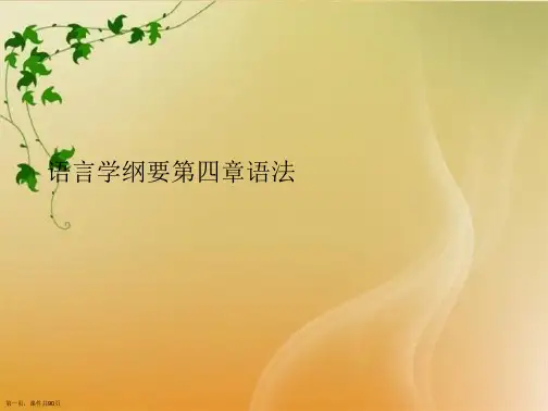 语言学纲要第四章语法