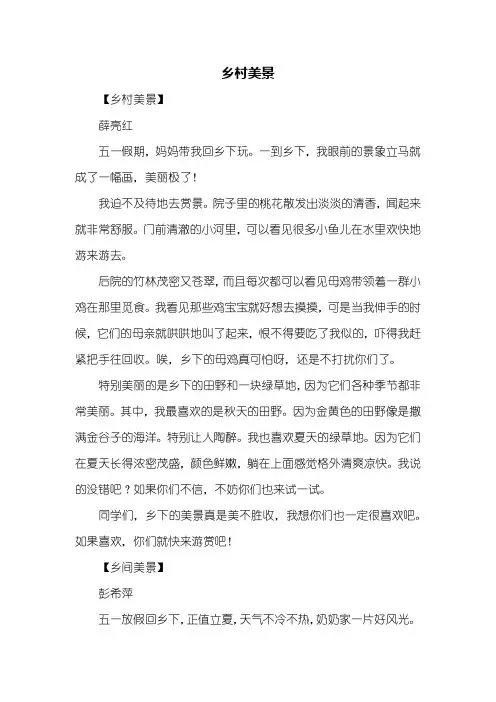 四年级作文：乡村美景作文400字_5