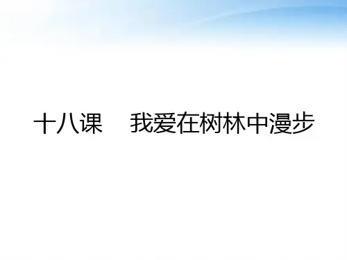 五年级上册语文课件 -5.18 我爱在树林中漫步 ｜湘教版  (共15张PPT) (1)
