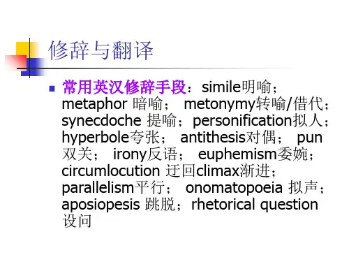 修辞与翻译PPT课件