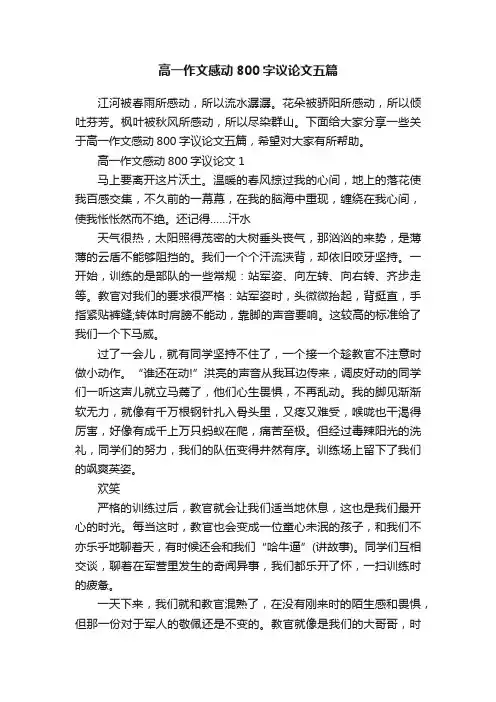 高一作文感动800字议论文五篇