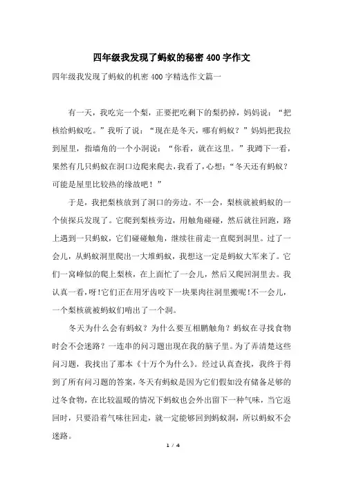 四年级我发现了蚂蚁的秘密400字作文