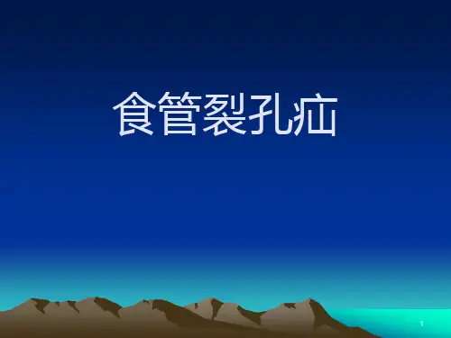 食管裂孔疝PPT课件