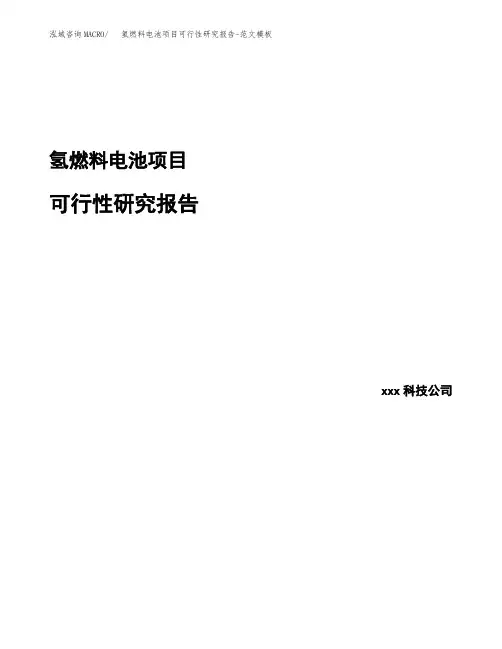 氢燃料电池项目可行性研究报告-范文模板 (1)