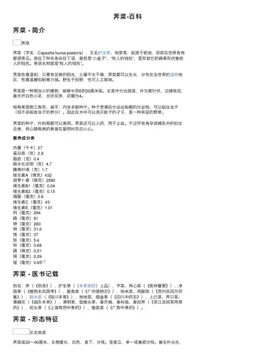 荠菜-百科——精选推荐
