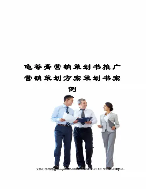 龟苓膏营销策划书推广营销策划方案策划书案例