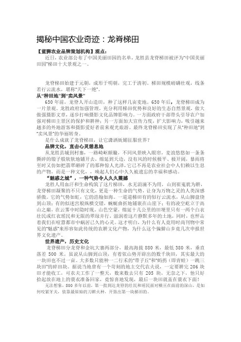 揭秘中国农业奇迹：龙脊梯田