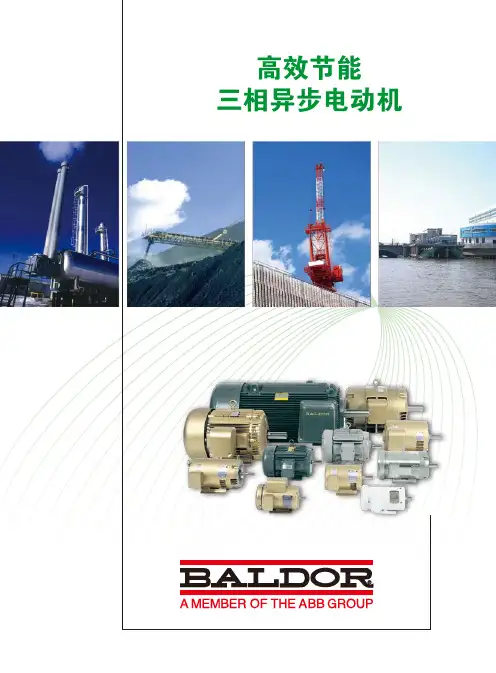 高效节能三相异步电动机 baldor,葆德 电机