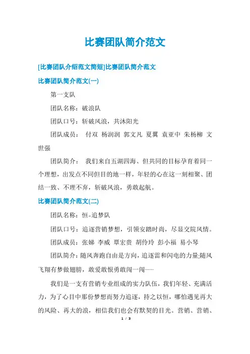 比赛团队简介范文