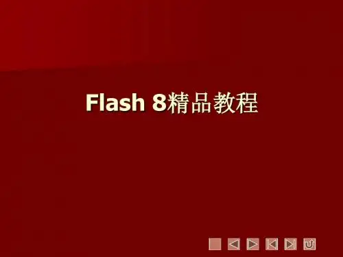 flsh软件课程