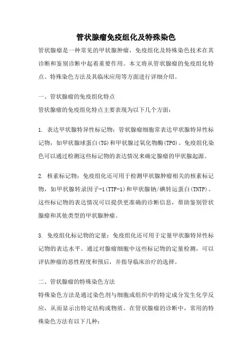 管状腺瘤免疫组化及特殊染色
