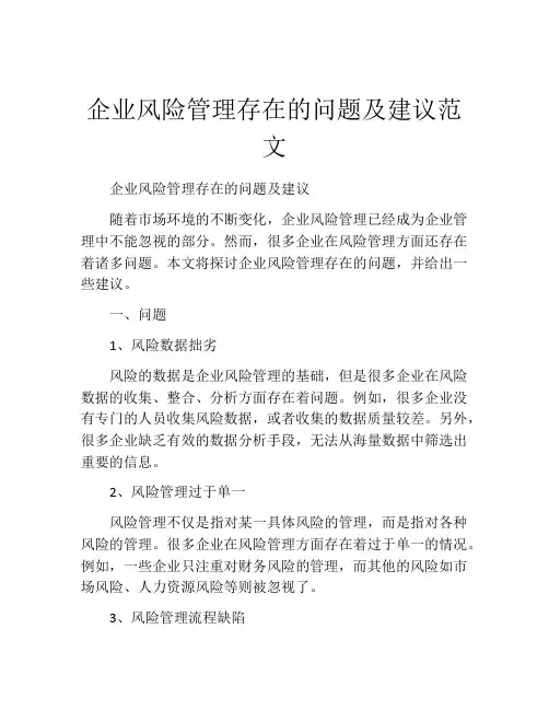 企业风险管理存在的问题及建议范文