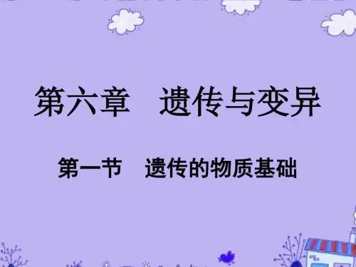 高三生物第六章 遗传与变异 第一节遗传的物质基础课件全国通用