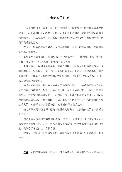 作文一起走过的日子点评
