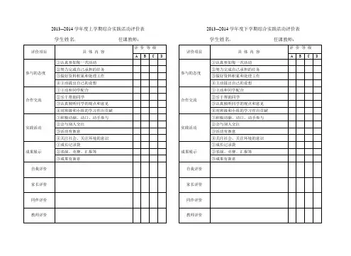 综合实践活动评价