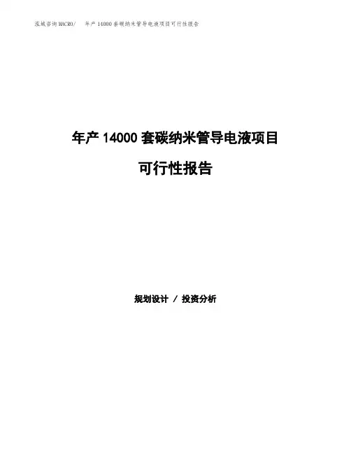 年产14000套碳纳米管导电液项目可行性报告