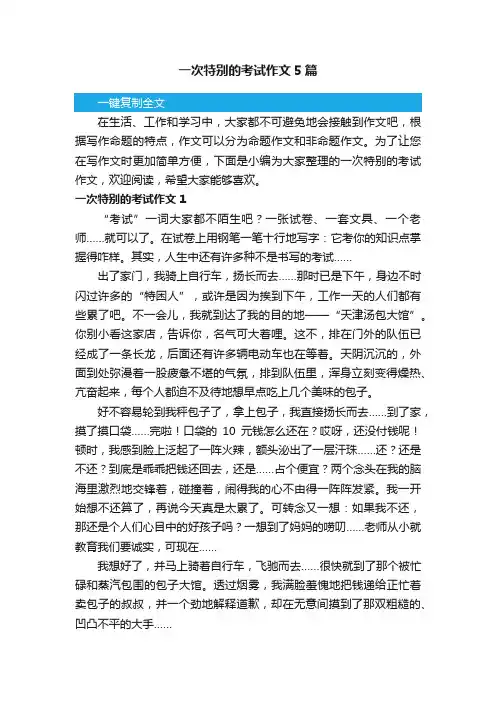 一次特别的考试作文5篇