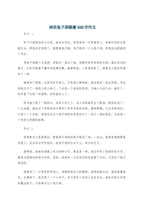 掉进兔子洞梗概500字作文