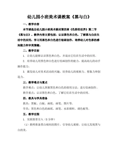 幼儿园小班美术课教案《黑与白》