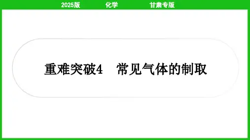 2025年中考化学总复习重难突破4常见气体的制取