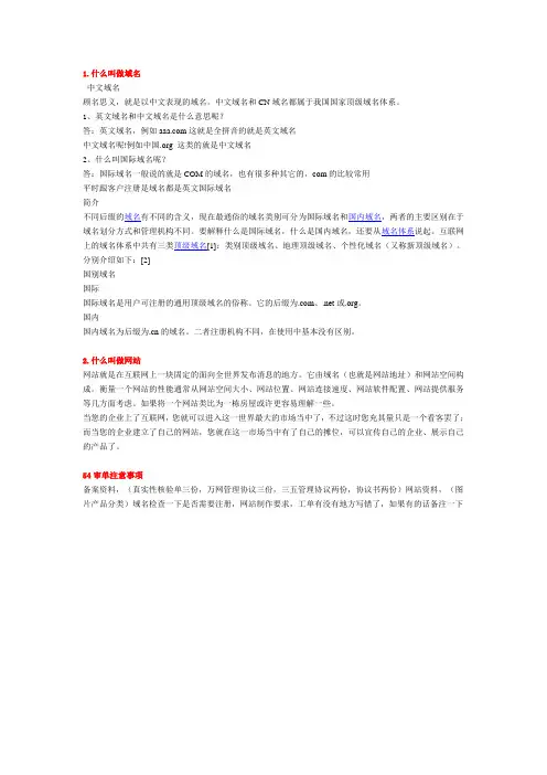 什么叫中文域名