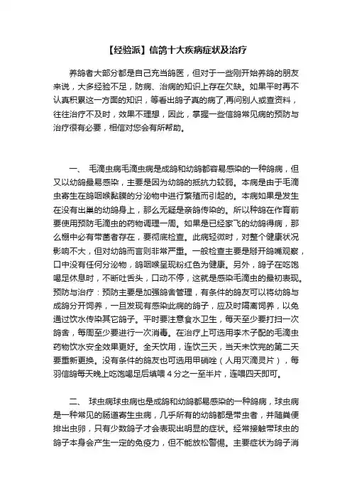 【经验派】信鸽十大疾病症状及治疗